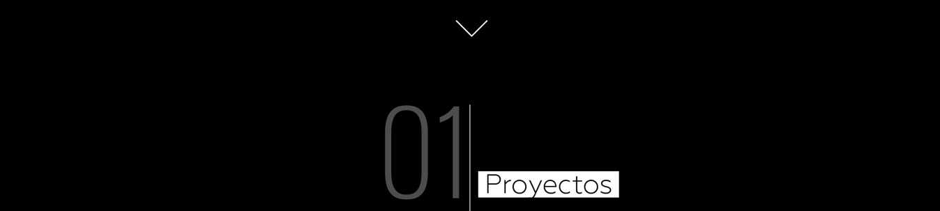 Proyectos
